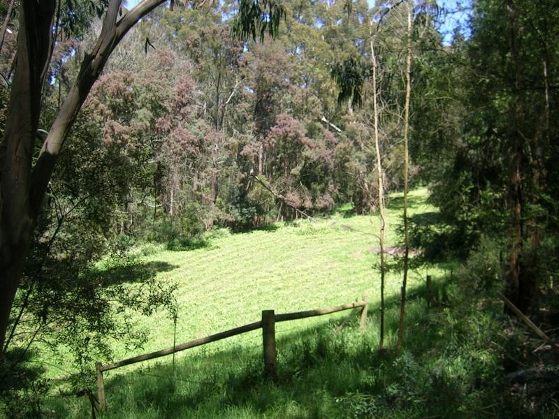 65 Fowlers Road, Ellinbank VIC 3821