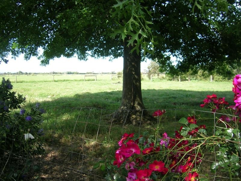 483 Darnum Allambee Road, Cloverlea VIC 3822