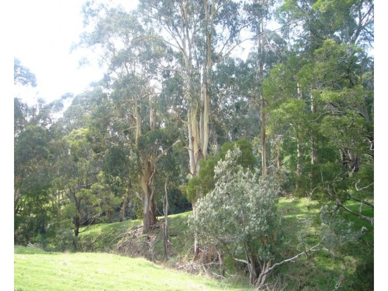 20 Post Office Road, Seaview VIC 3821