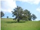 20 Post Office Road, Seaview VIC 3821