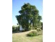20 Post Office Road, Seaview VIC 3821