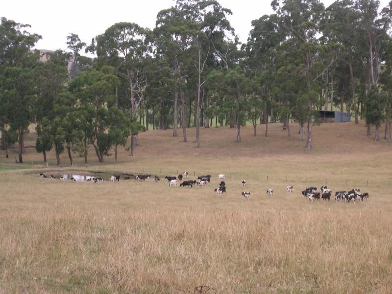 110 Standfields Road, Poowong North VIC 3988