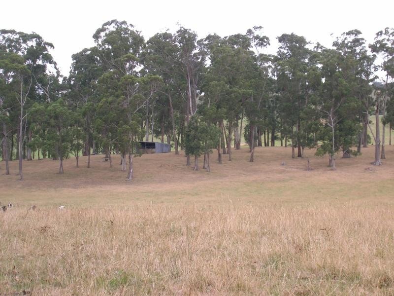 110 Standfields Road, Poowong North VIC 3988