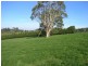 646 Bloomfields Road, Nilma North VIC 3821