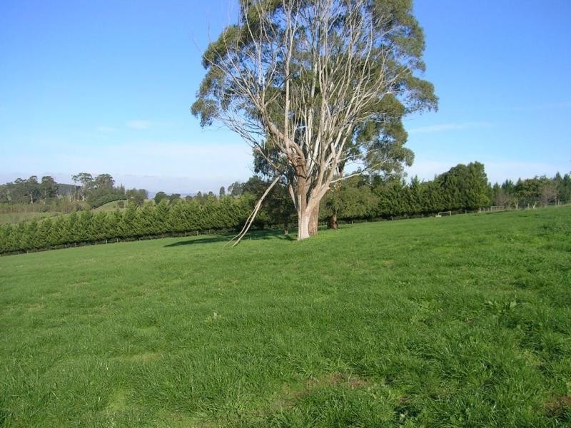 646 Bloomfields Road, Nilma North VIC 3821