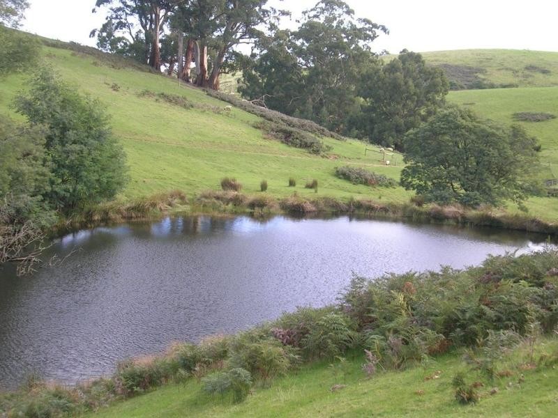 194 Ferndale Road, Ferndale VIC 3821