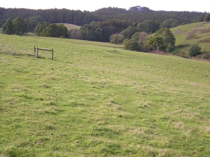 194 Ferndale Road, Ferndale VIC 3821