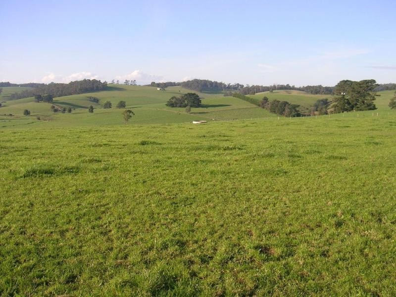 122 Ryans Road, Buln Buln VIC 3821