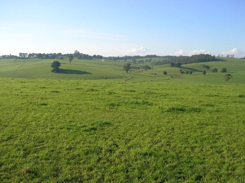 122 Ryans Road, Buln Buln VIC 3821