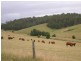 122 Ryans Road, Buln Buln VIC 3821
