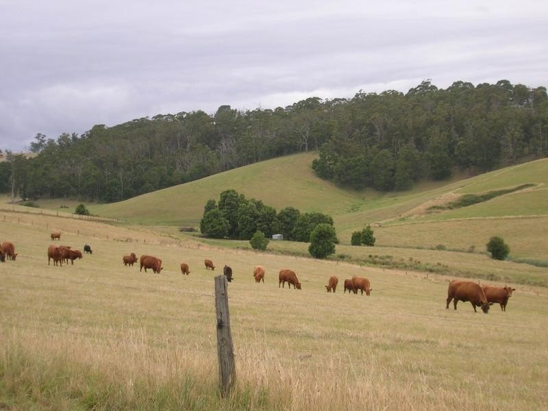 122 Ryans Road, Buln Buln VIC 3821