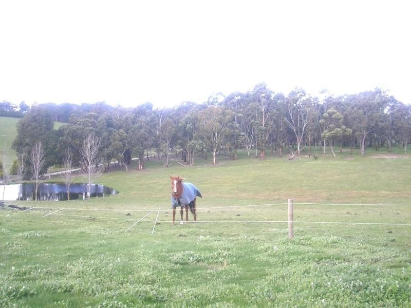 28 Ansty Road, Tanjil South VIC 3825