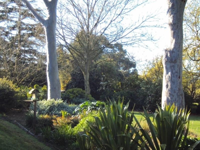 12 Hooley’s Road, Warragul VIC 3820