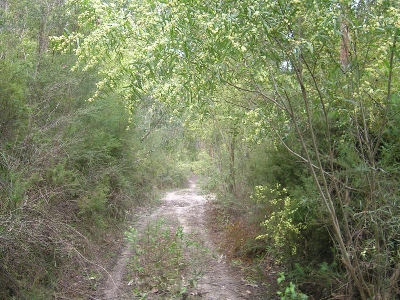 624 Old Telegraph Road East, Crossover VIC 3821