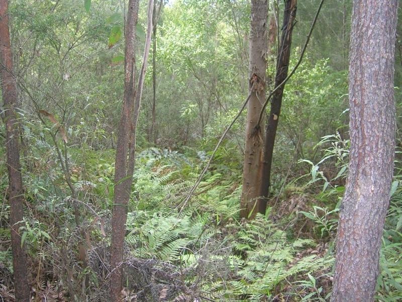 624 Old Telegraph Road East, Crossover VIC 3821