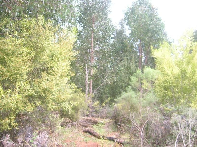 624 Old Telegraph Road East, Crossover VIC 3821