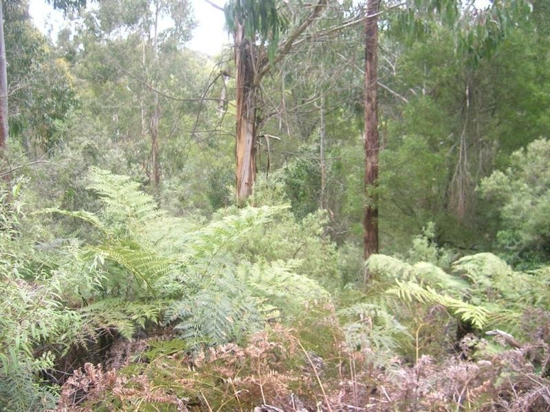 624 Old Telegraph Road East, Crossover VIC 3821