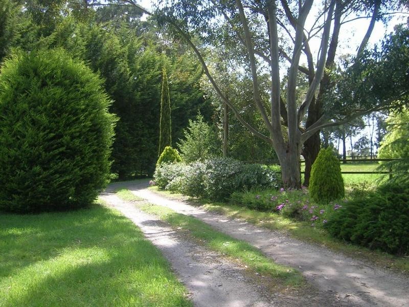 153 Shady Creek Road, Darnum VIC 3822