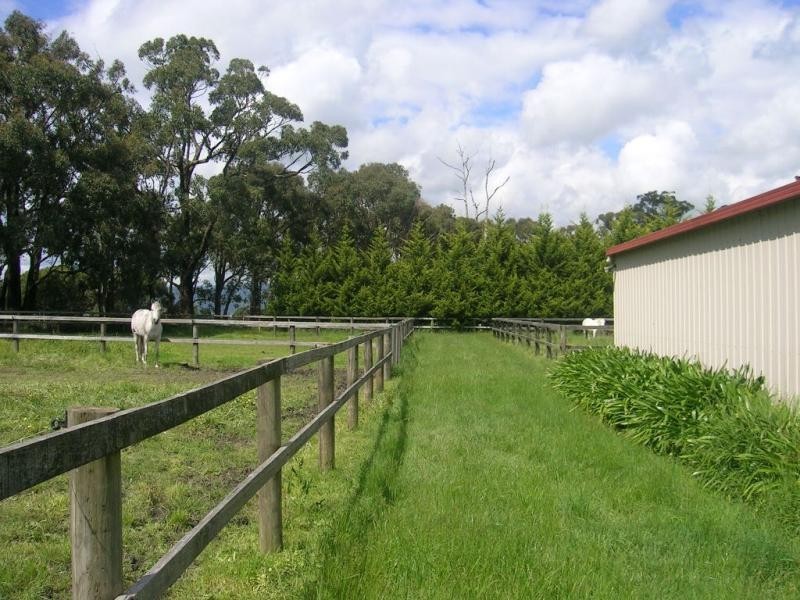 153 Shady Creek Road, Darnum VIC 3822