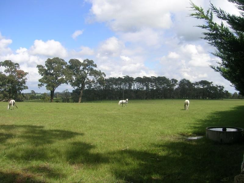 153 Shady Creek Road, Darnum VIC 3822