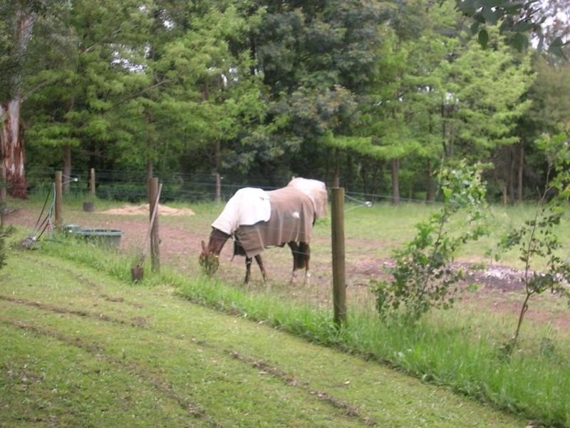 837 Princes Way, Drouin VIC 3818