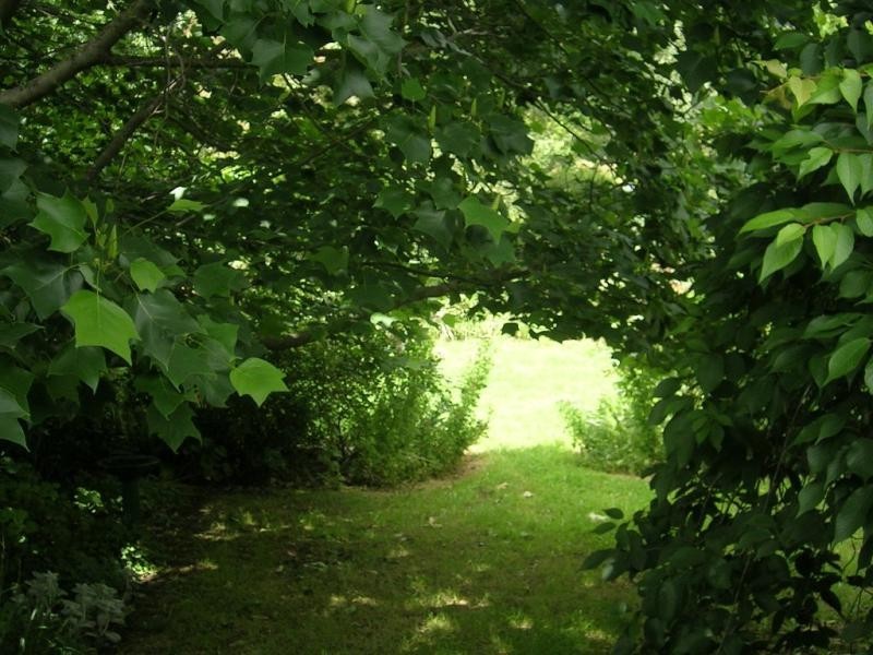 95 Earls Road, Yarragon South VIC 3823