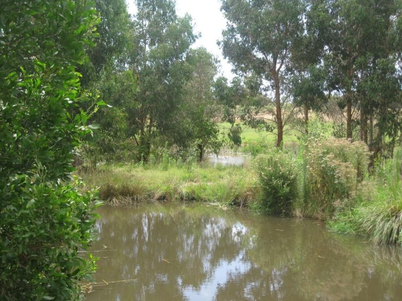 17 Buntine Drive, Warragul VIC 3820