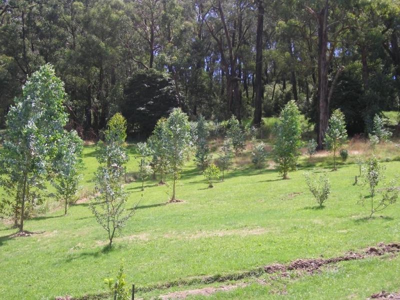 227 Coalville Road, Moe South VIC 3825