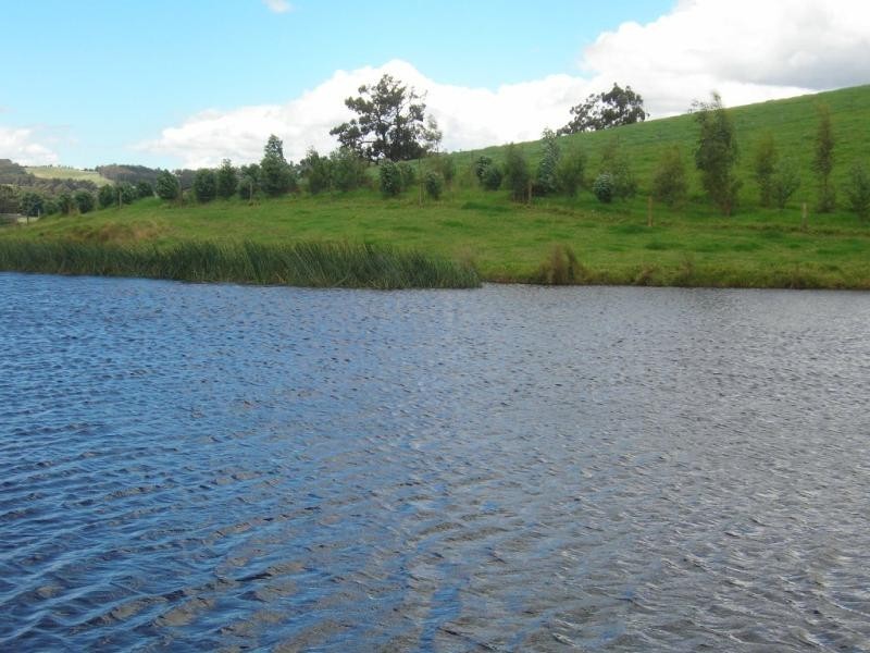 227 Coalville Road, Moe South VIC 3825