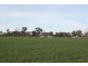 47 RAITTS ROAD, Rutherglen VIC 3685
