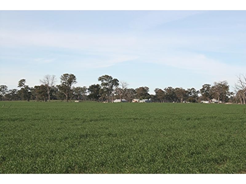 47 RAITTS ROAD, Rutherglen VIC 3685