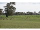 47 RAITTS ROAD, Rutherglen VIC 3685