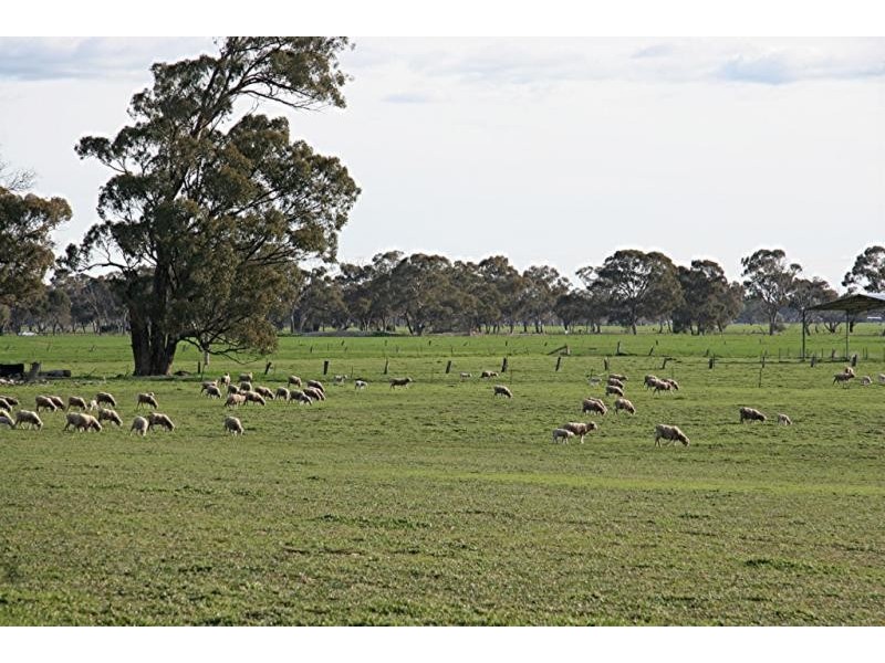 47 RAITTS ROAD, Rutherglen VIC 3685