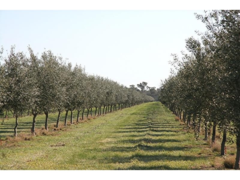 3550 Yarrawonga -Wangaratta Road, Bundalong VIC 3730