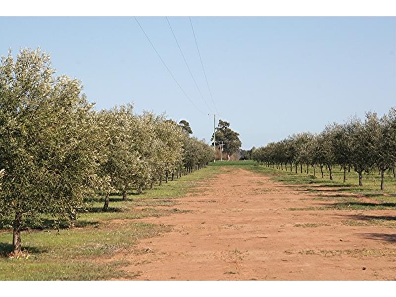 3550 Yarrawonga -Wangaratta Road, Bundalong VIC 3730