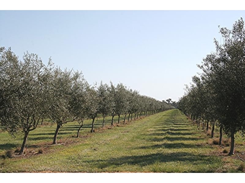 3550 Yarrawonga -Wangaratta Road, Bundalong VIC 3730