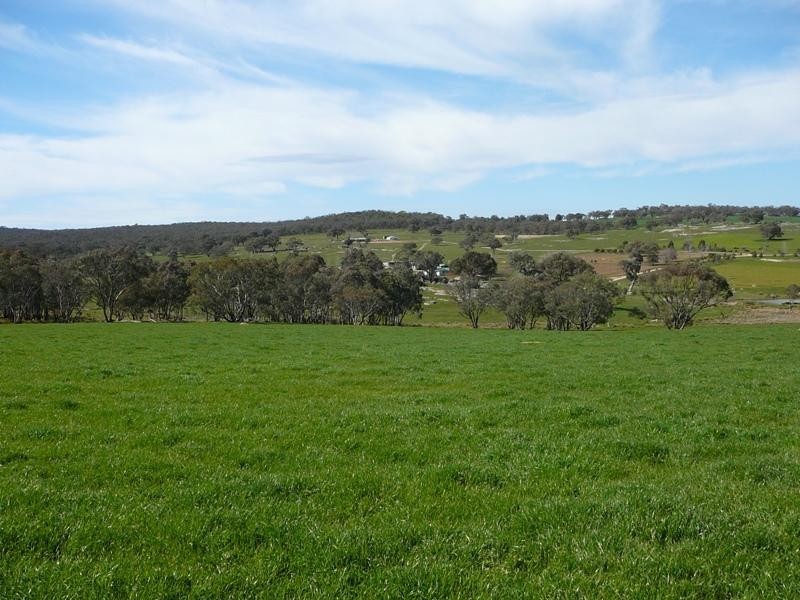 128 Moores Road, Springhurst VIC 3682