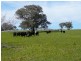 128 Moores Road, Springhurst VIC 3682