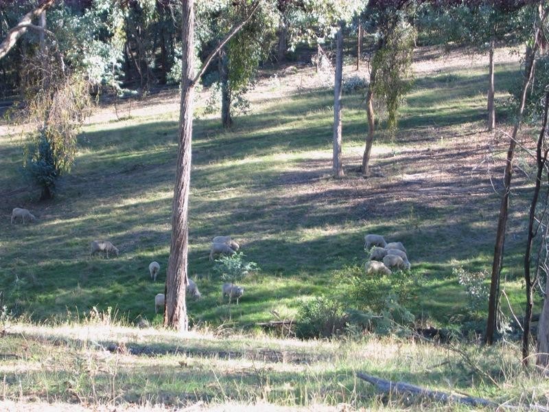 Lot 2 Middle Creek Rd, Greta South VIC 3675
