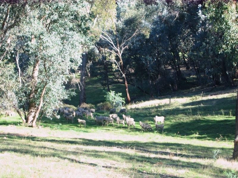Lot 2 Middle Creek Rd, Greta South VIC 3675