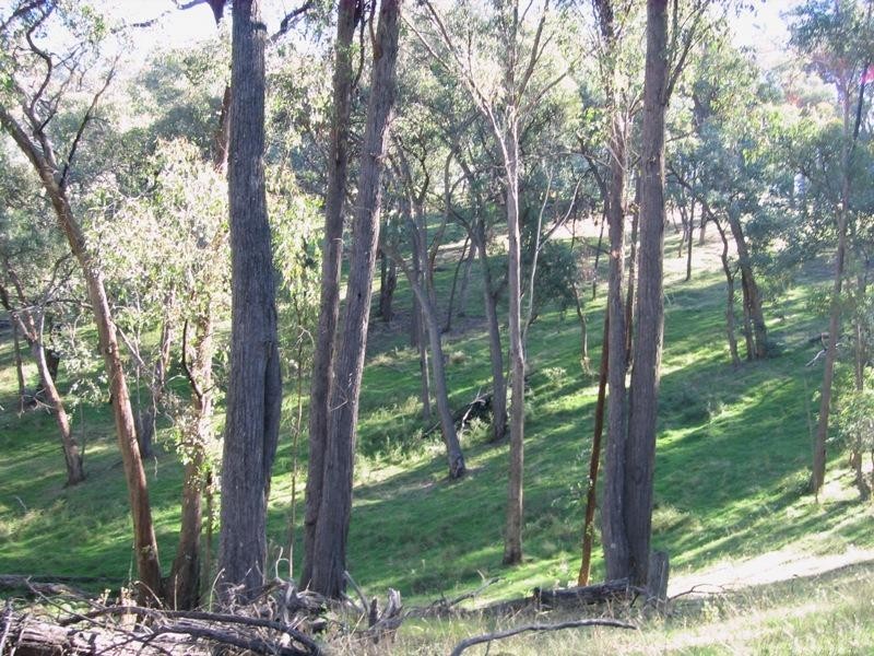 Lot 2 Middle Creek Rd, Greta South VIC 3675