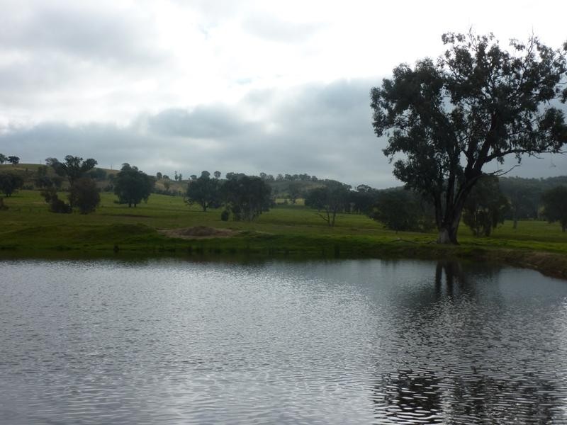 260 Moloneys Rd, Greta West VIC 3675