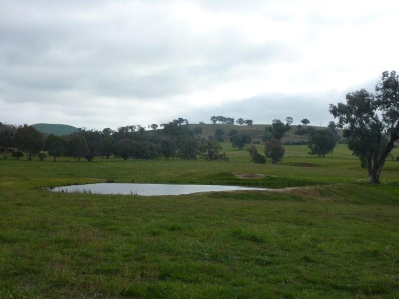 260 Moloneys Rd, Greta West VIC 3675