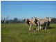 260 Moloneys Rd, Greta West VIC 3675