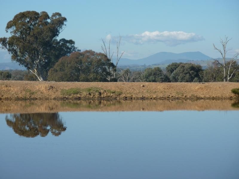 260 Moloneys Rd, Greta West VIC 3675