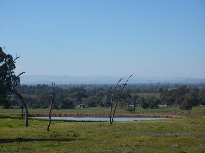 260 Moloneys Rd, Greta West VIC 3675