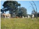 260 Moloneys Rd, Greta West VIC 3675