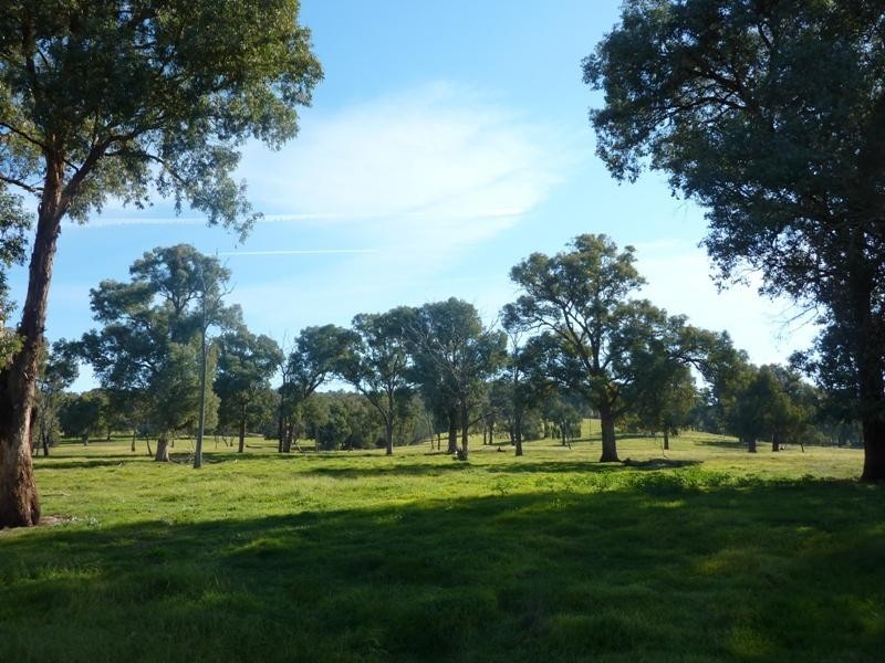 260 Moloneys Rd, Greta West VIC 3675