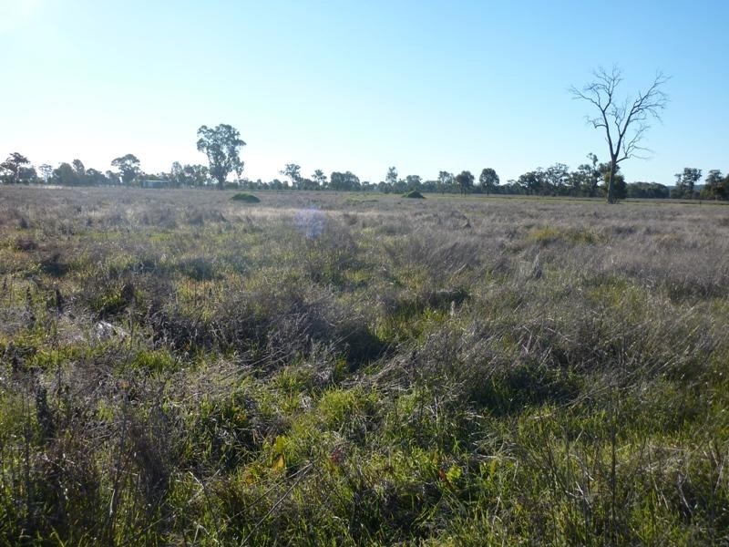 Lot 3/191 Hume St, Howlong NSW 2643