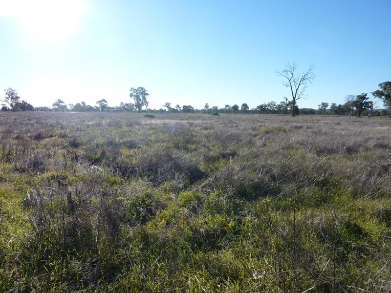 Lot 3/191 Hume St, Howlong NSW 2643